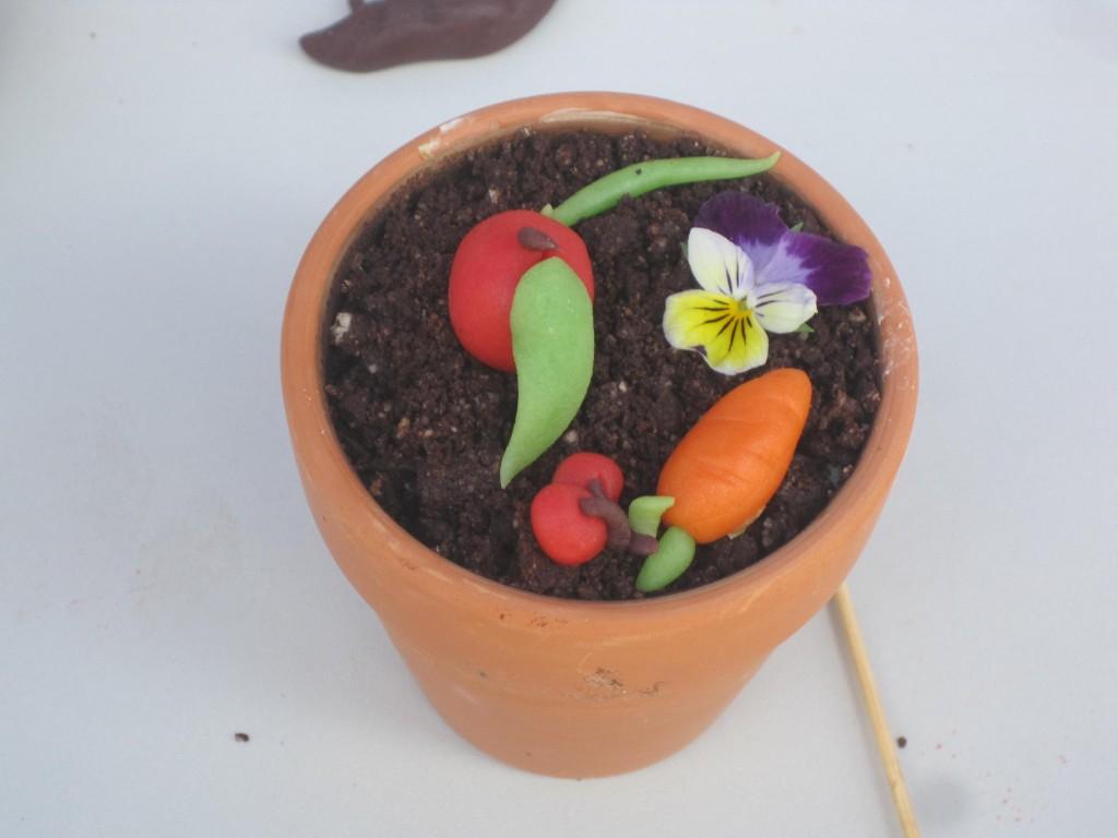 Edible Flower Pot