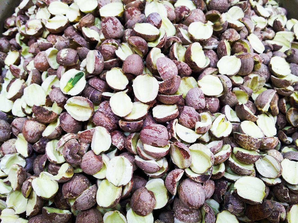 Dried Lotus Seed (Lin Zi)