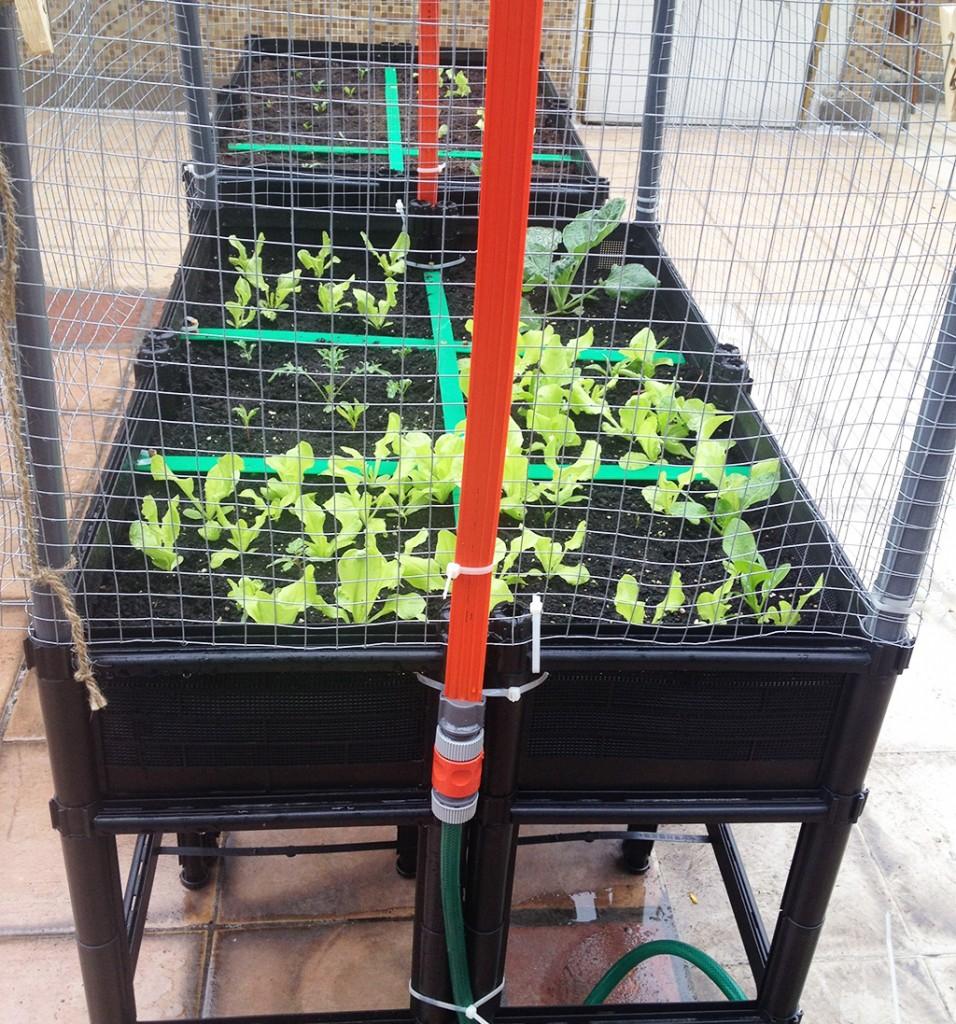 home watering system