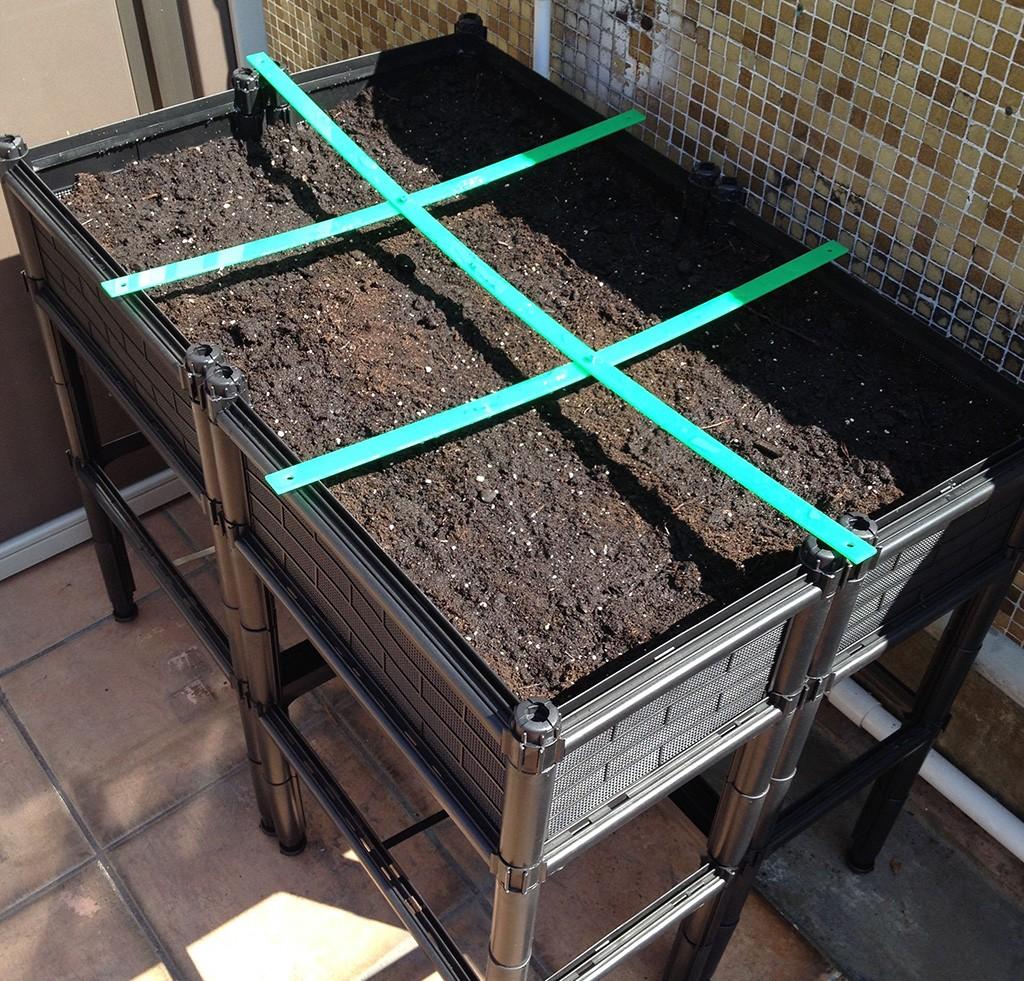 square foot gardening box