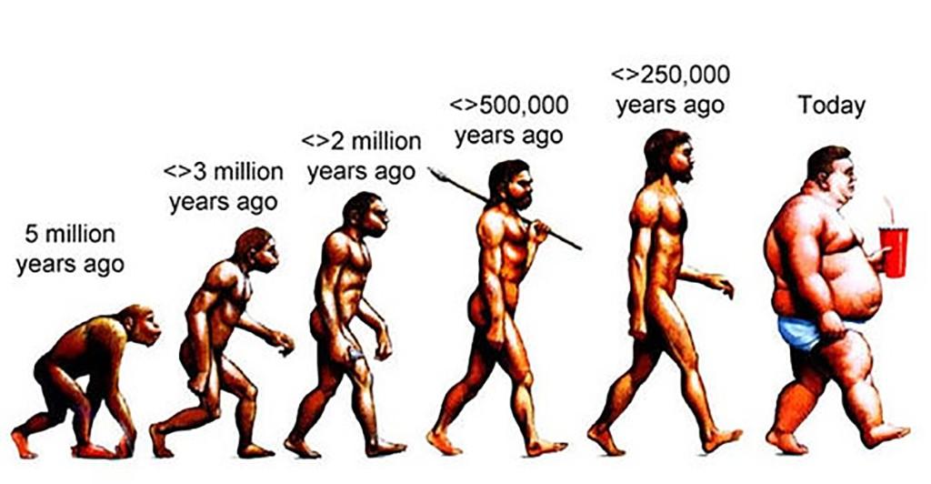 Paleo Timeline