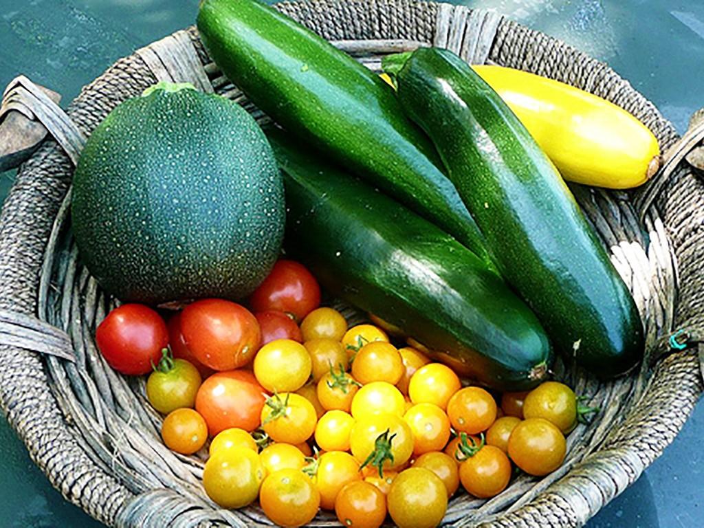 fruit veggie basket