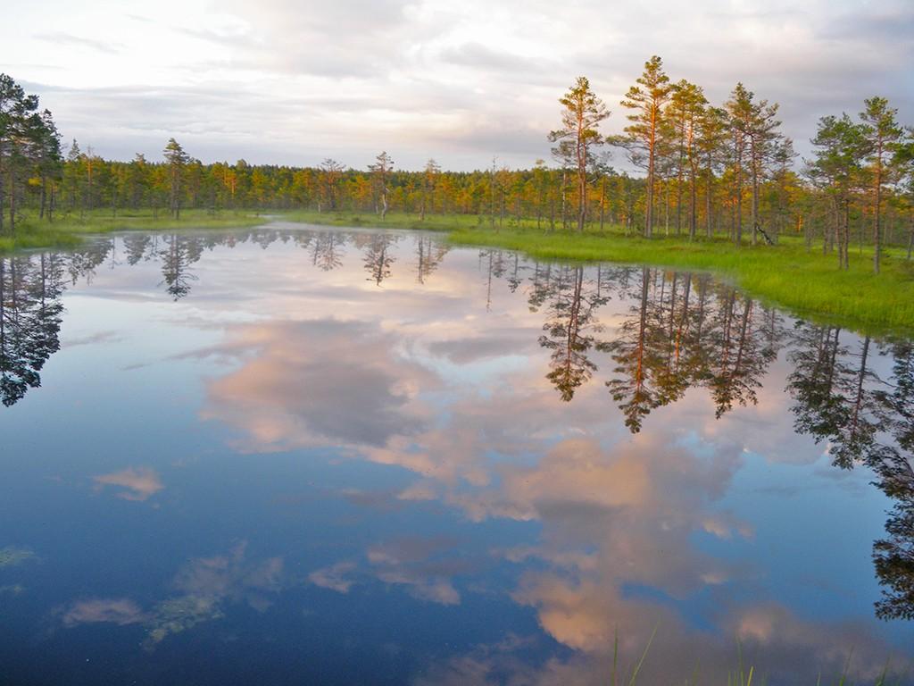 Estonian Lake