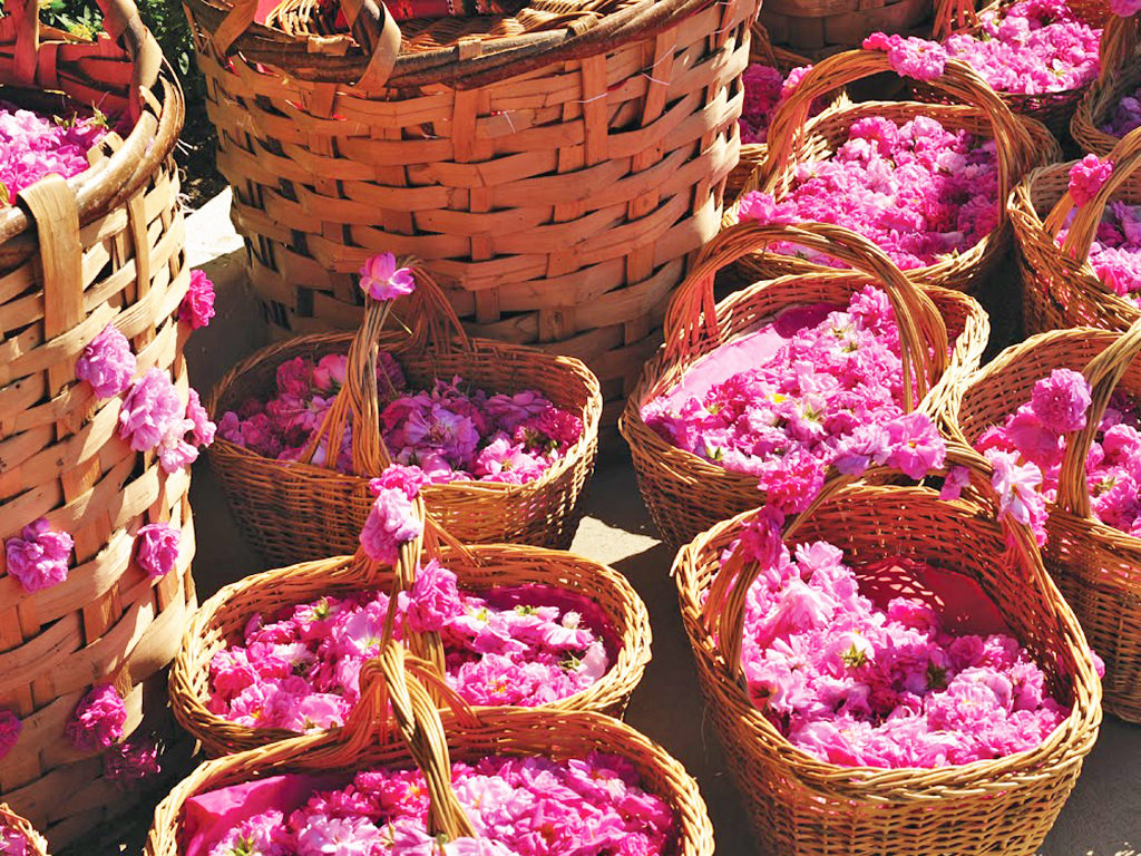 rose baskets