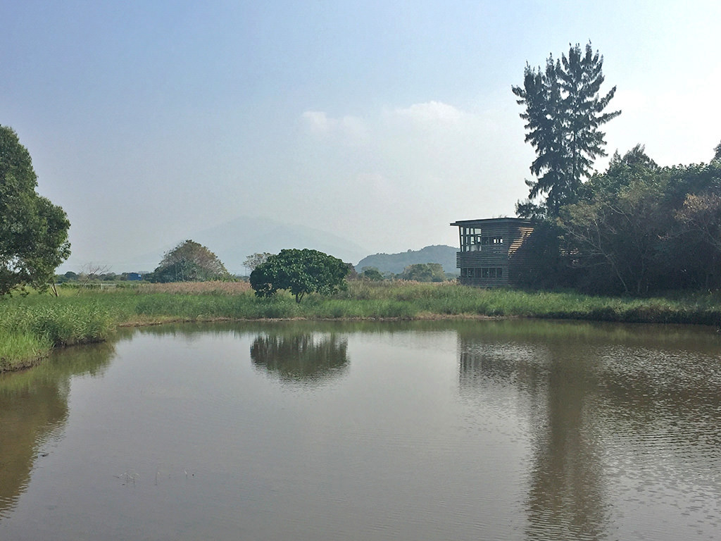bird-hides-hong-kong-wetland-centre