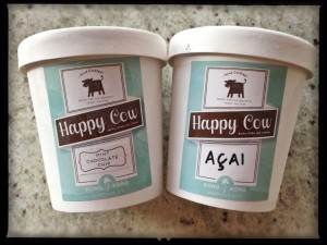 Happy Cow Vegan Organic Coconut Ice Cream
