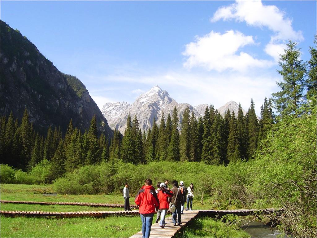 Wanglang Nature Reserve