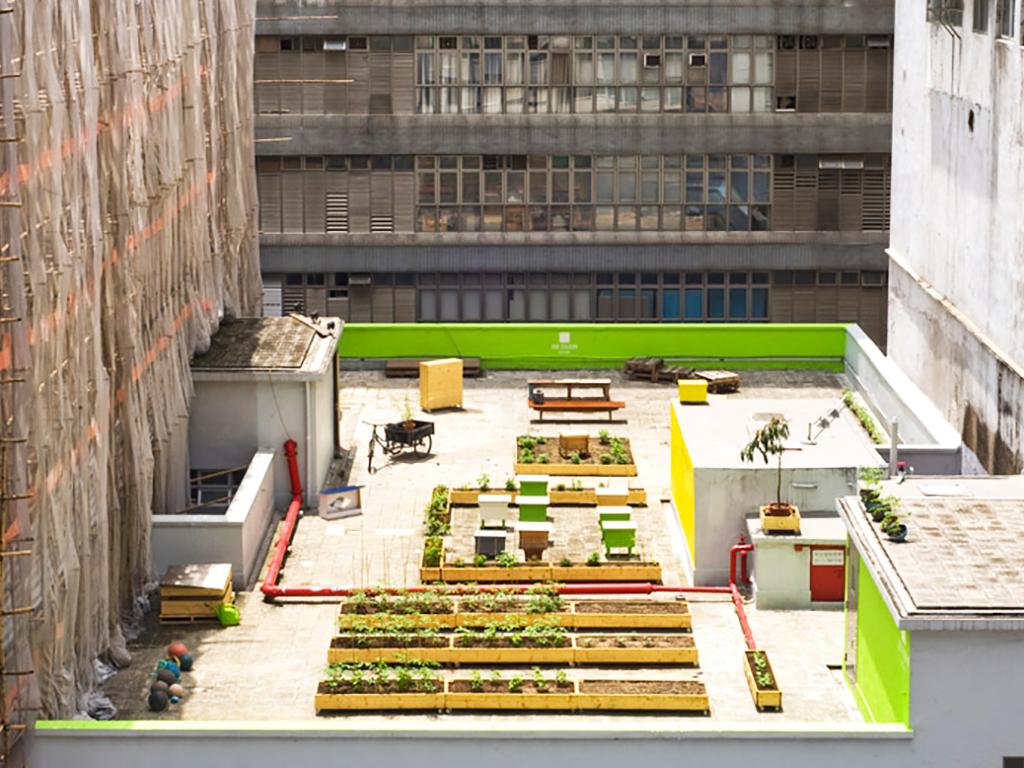 Rooftop Farming Green Queen