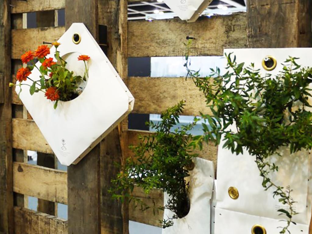 Green Queen Complete Guide To Gardening Resources In Hong Kong From