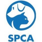 SPCA Hong Kong