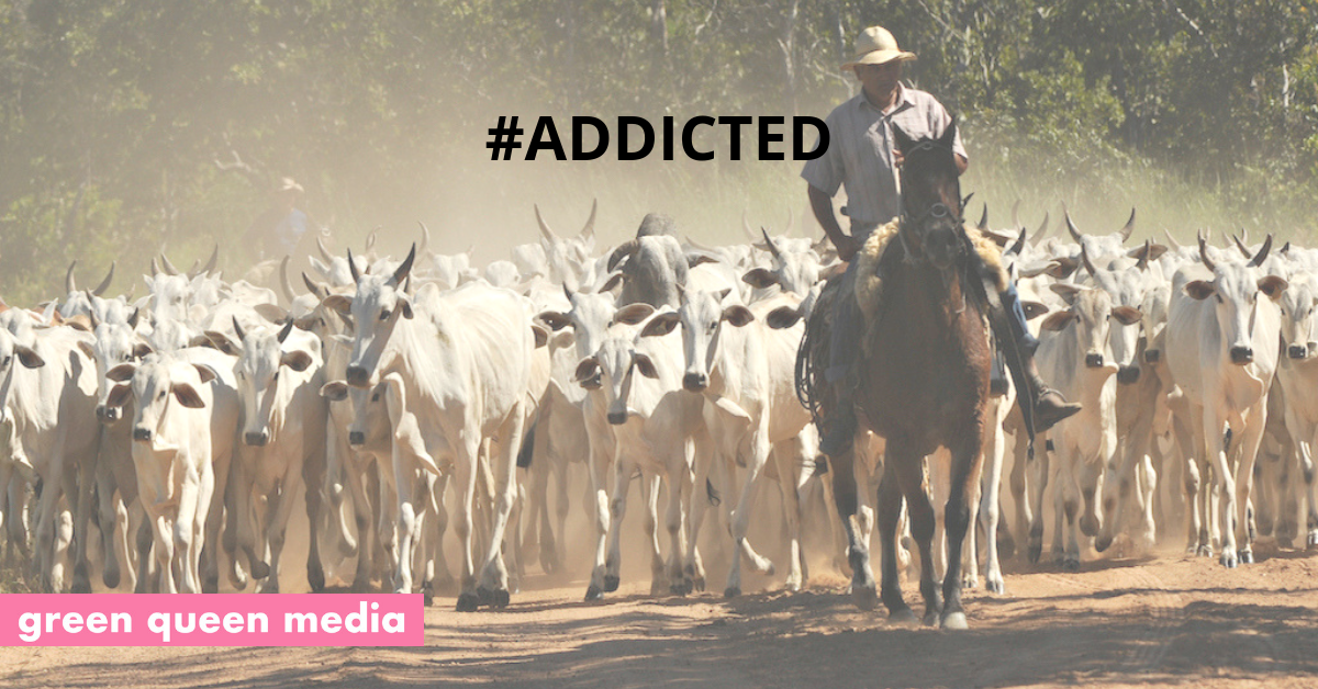 Q Why Is The Amazon Burning? A Because We're Addicted To Meat.