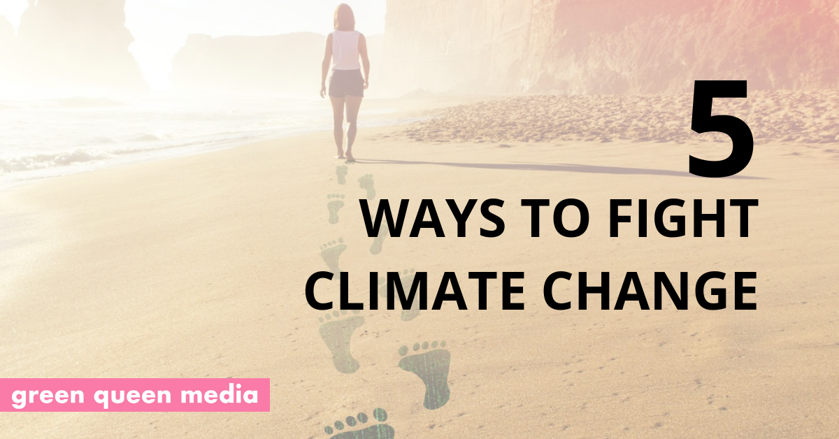 Guide To Combat Climate Change: 5 Ways To Reduce Your Carbon Footprint ...