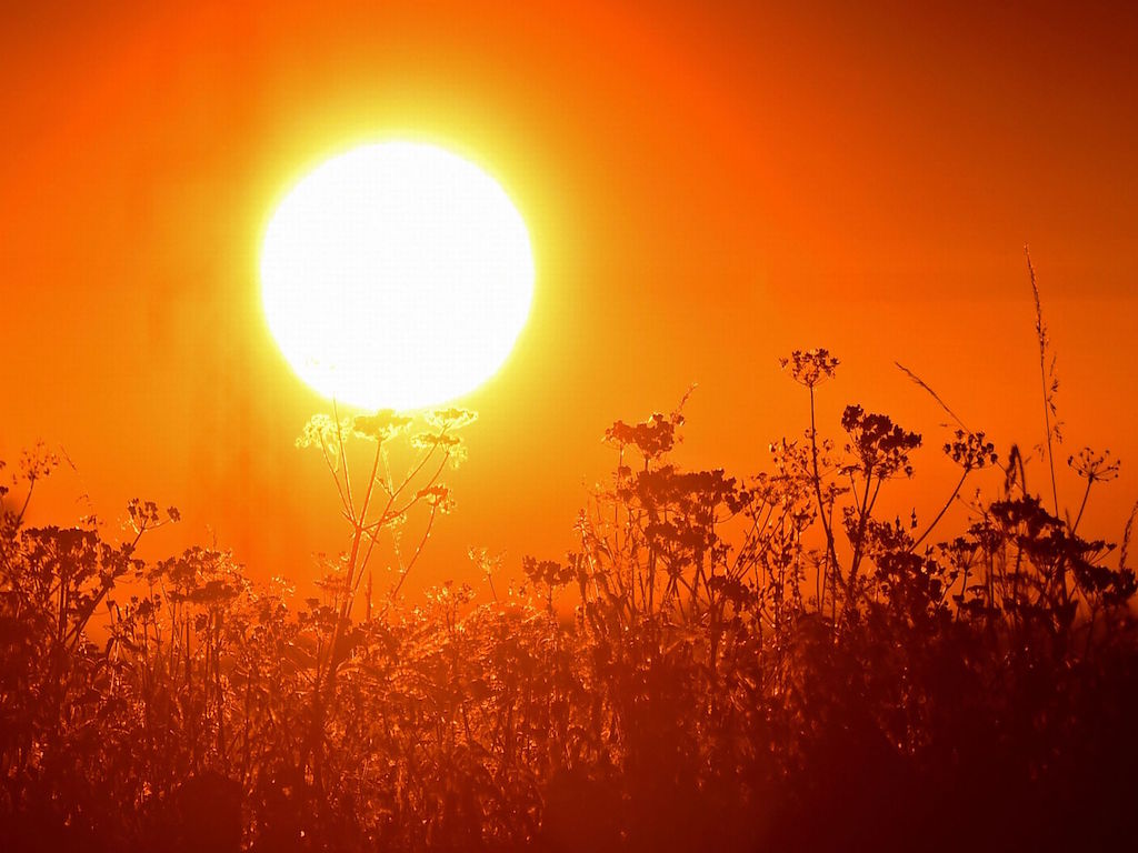 New UN Reports Shows 5-Year Period Ending 2019 Hottest Ever On Record - Covering Climate Now