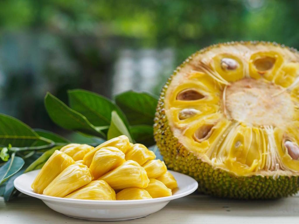 Karana-Organic-Young-Jack-Product - Karana Jackfruit - New Jackfruit startup to revolutionise vegan meat