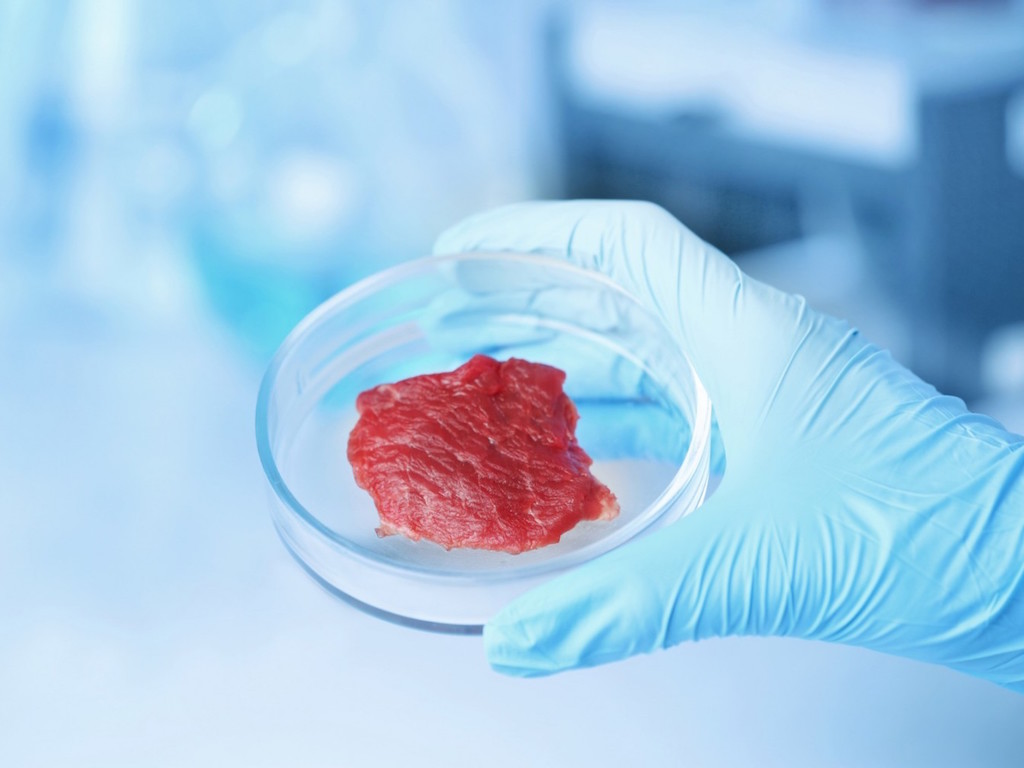 Lab Grown Meat will bring the meat and diary industry to bankruptcy
