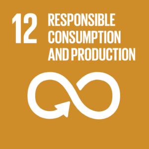 UN SDG 12 Responsible Consumption
