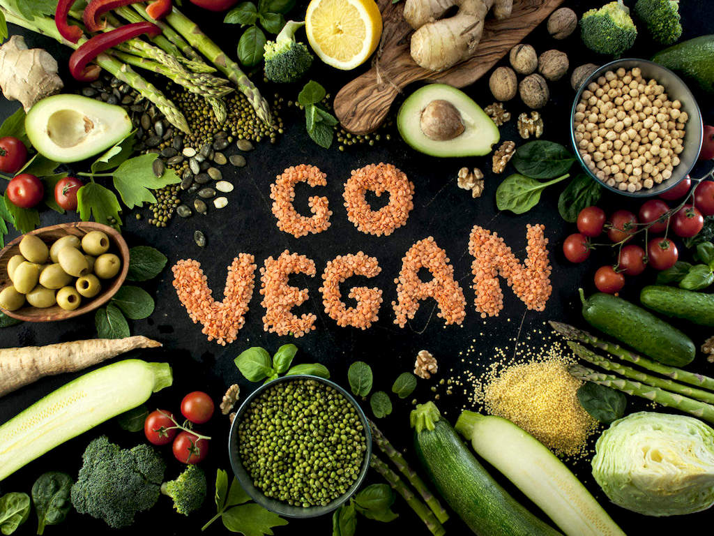 Your Social Media Knows More About Being Vegan Than You Do – Go Vegan!