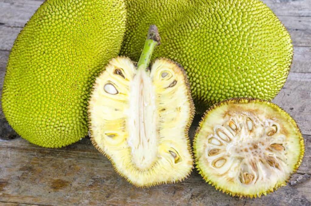Young jackfruit - Jiawan.com.sg