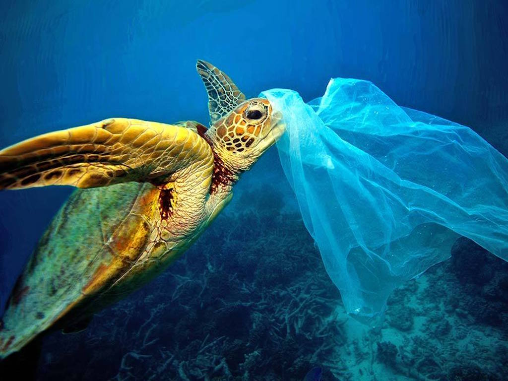 The Global Plastic Crisis In Numbers: 10 Shocking Facts You Need To Know