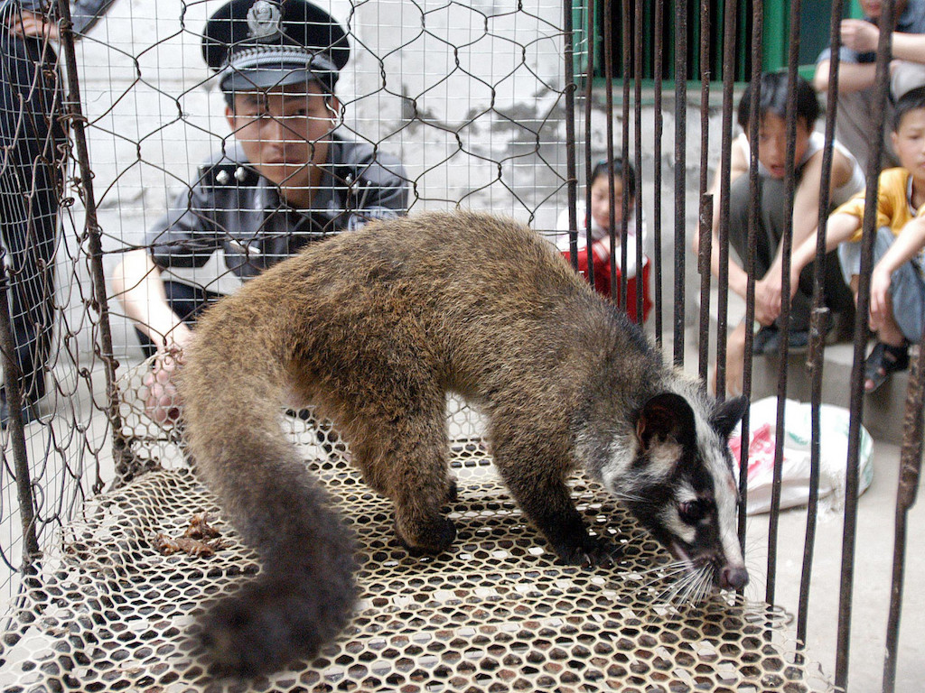 China Implements Temporary Wild Animal Trade Ban Due To Coronavirus,  Activists Push To Make It Permanent