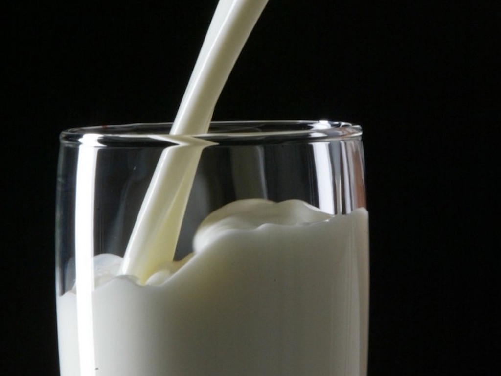 Singapore's TurtleTree Labs, Maker Of Milk Without Cows, Secures ...