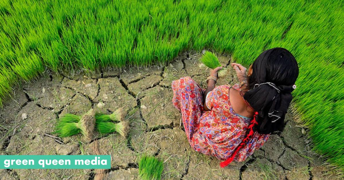 Is Un Food Security Summit Backed By Agrochemical Farming Giants