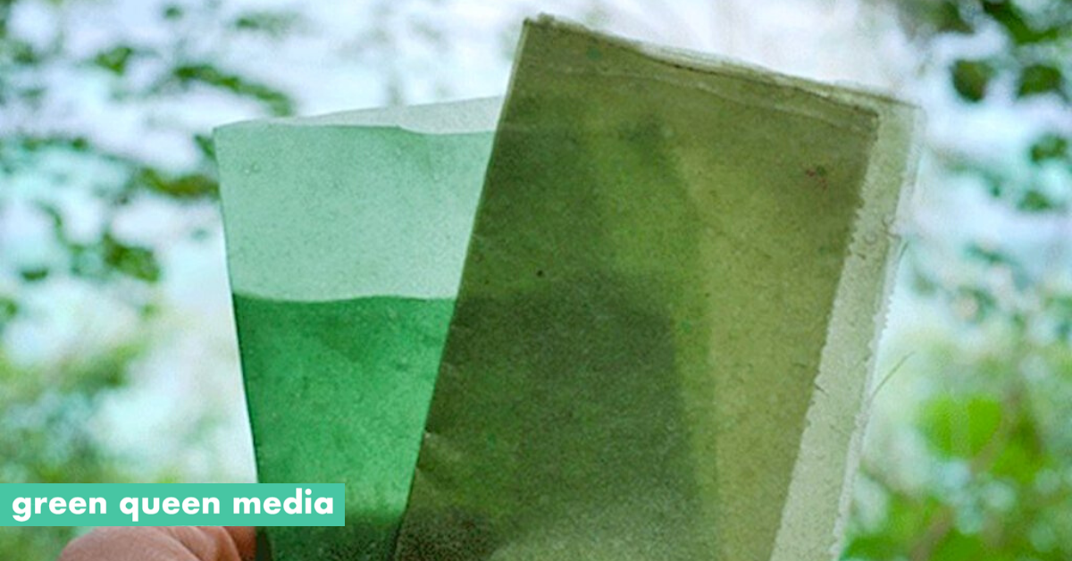 Indonesia Wants To Make Seaweed The New Sustainable Plastic