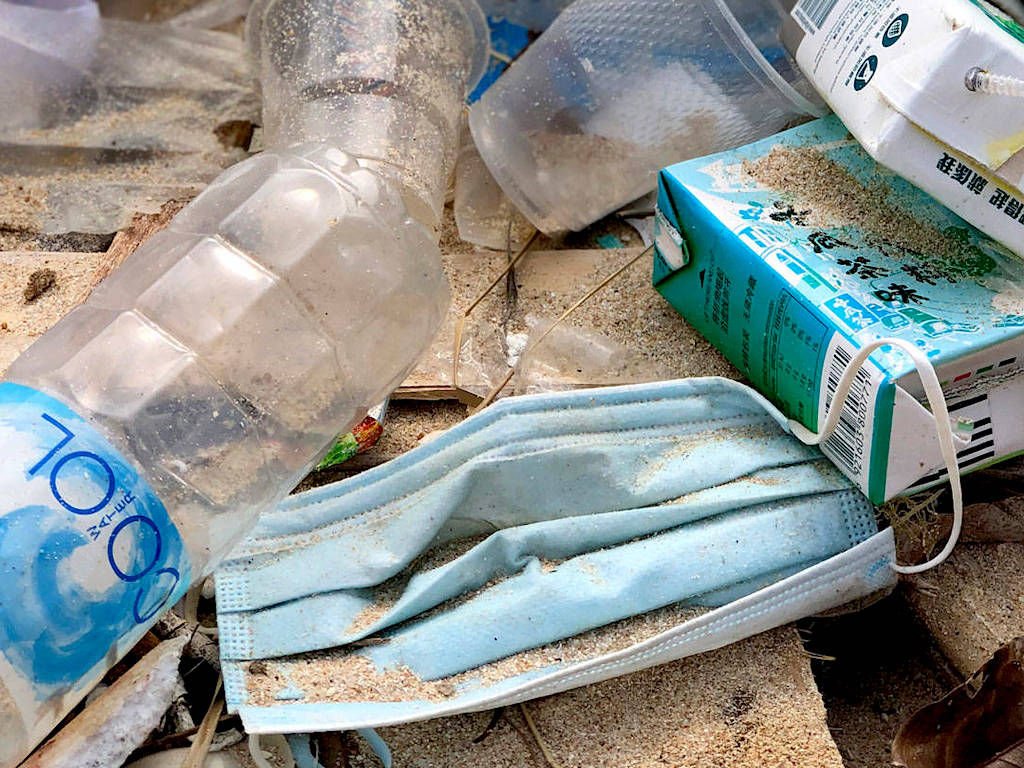 Disposable Mask Beach Litter