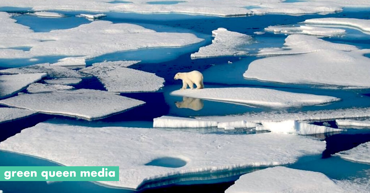 Global Warming: Arctic Circle As Hot As Hong Kong Average Temperatures - Green Queen Media