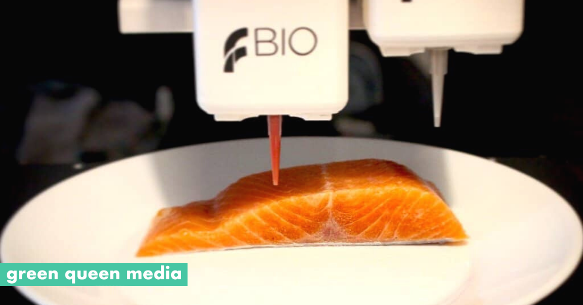 Meet The Students Working On 3D Printed Plant-Based Salmon Fillet