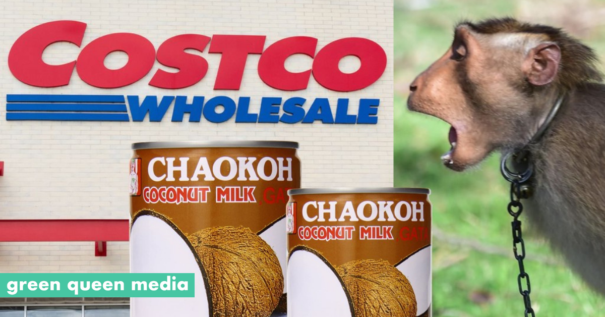 Costco Drops Coconut Milk Brand After PETA Uncovers Monkey Forced