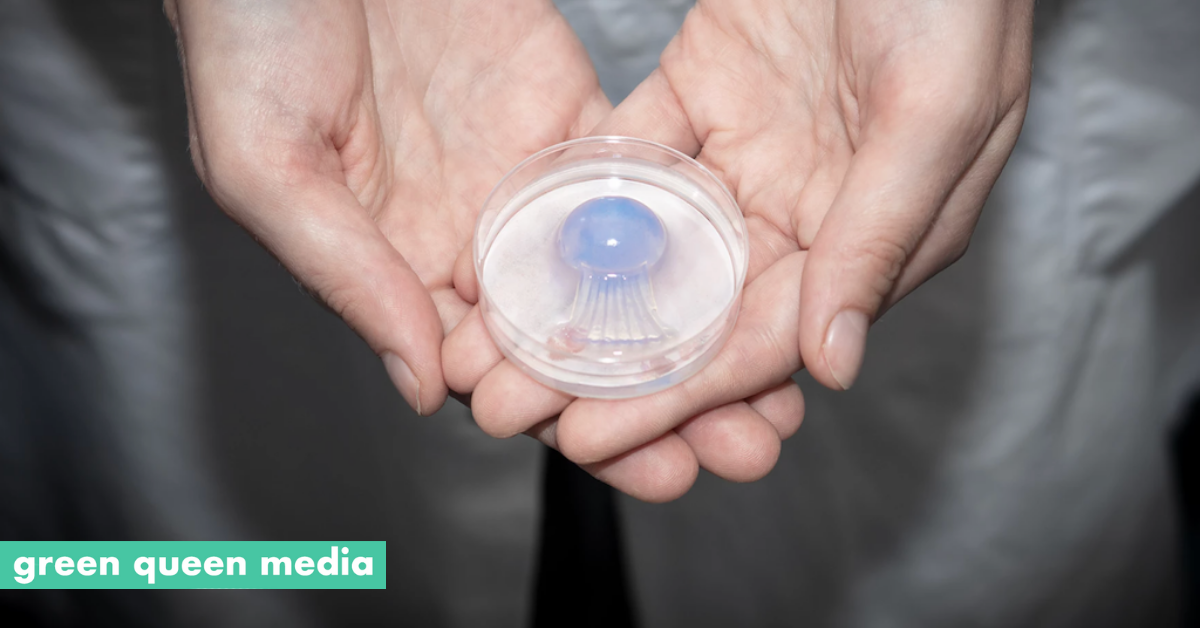 Just Launched Jellatech To Create Sustainable, AnimalFree Collagen