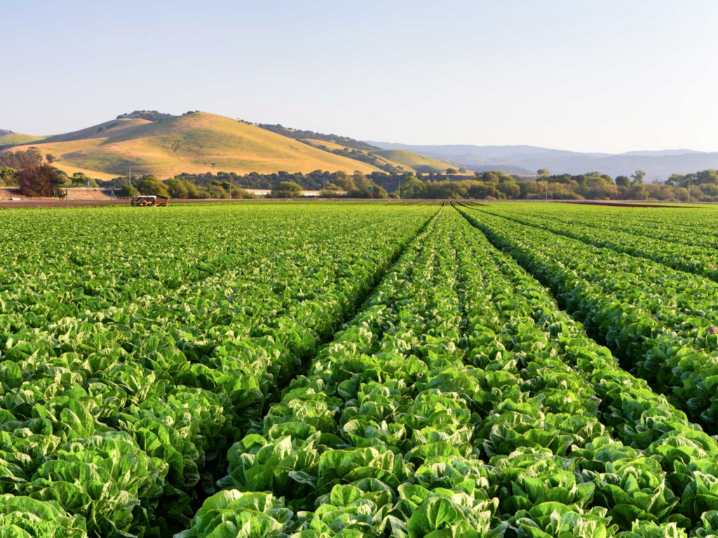 Veganic Farming