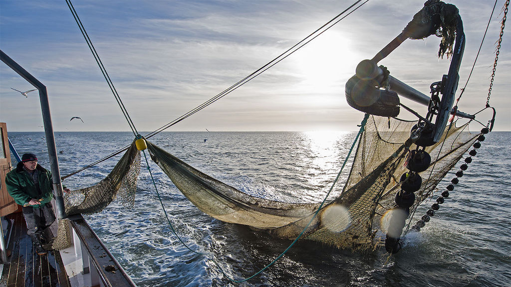 Bottom Trawling Fishing Releases More Emissions Than Global Aviation, Study  Reveals
