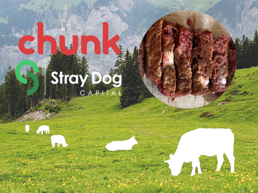 Stray Dog Capital Invests In Fermentation-Based Alt Protein Company Chunk Foods