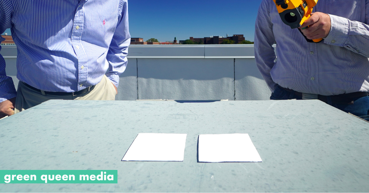 Engineers Develop ‘Whitest Paint Yet’ To Cool Buildings That Could Replace Air Conditioning