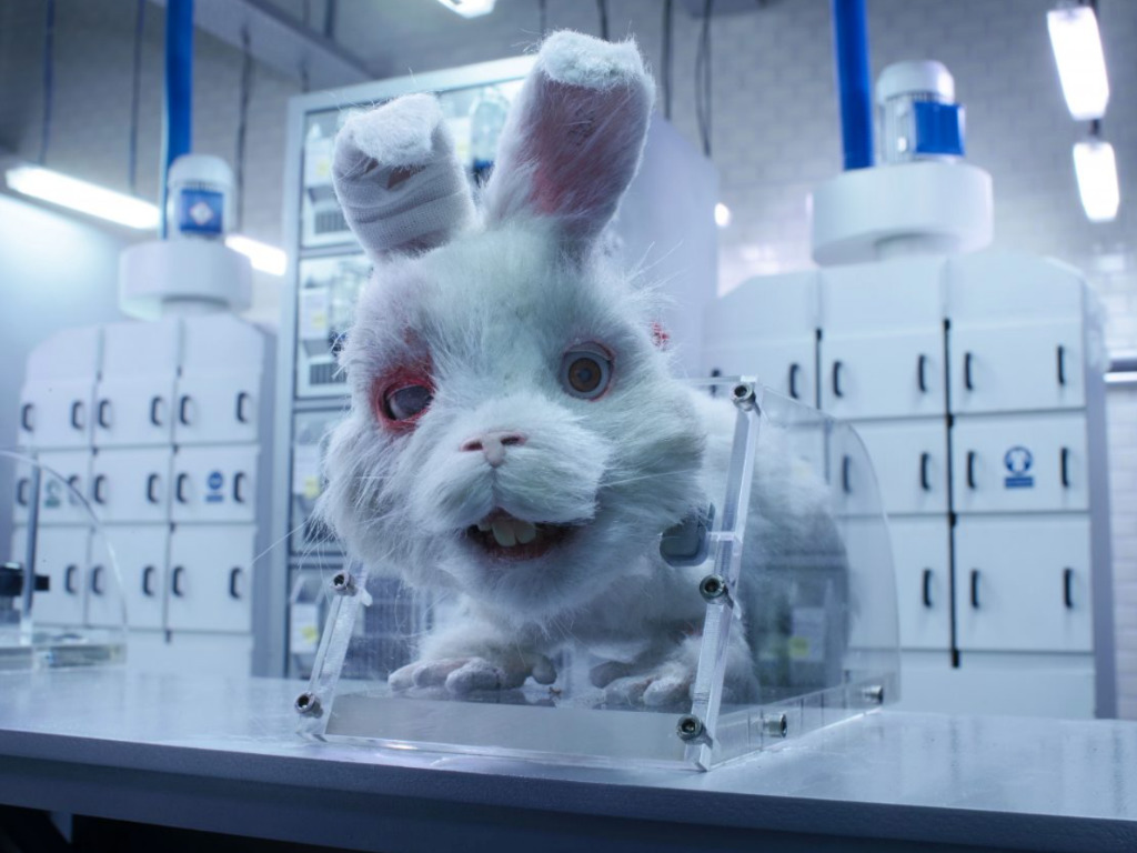 Save Ralph: Humane Society International Release Film To End Cosmetic  Testing On Animals Voiced by Taika Waititi