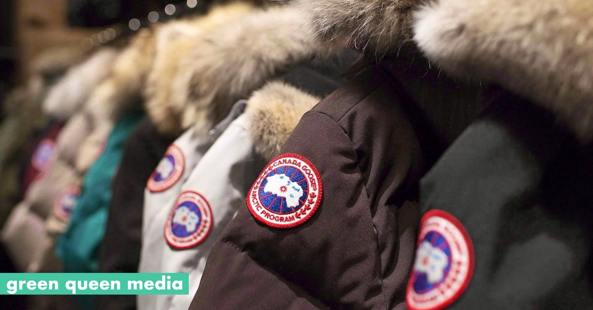 transactie kanker geest Canada Goose Commits to No New Fur By 2022, But Parkas Still Full of Goose  Down - Green Queen