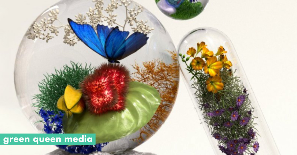 Cultivated Tech: Geltor Unveils 'PrimaColl', Animal-Free Collagen For F