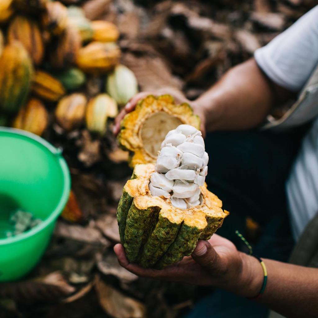 Alter Eco ‘Won’t Stop Until Entire Supply Chain Is ZeroLandfill’ In