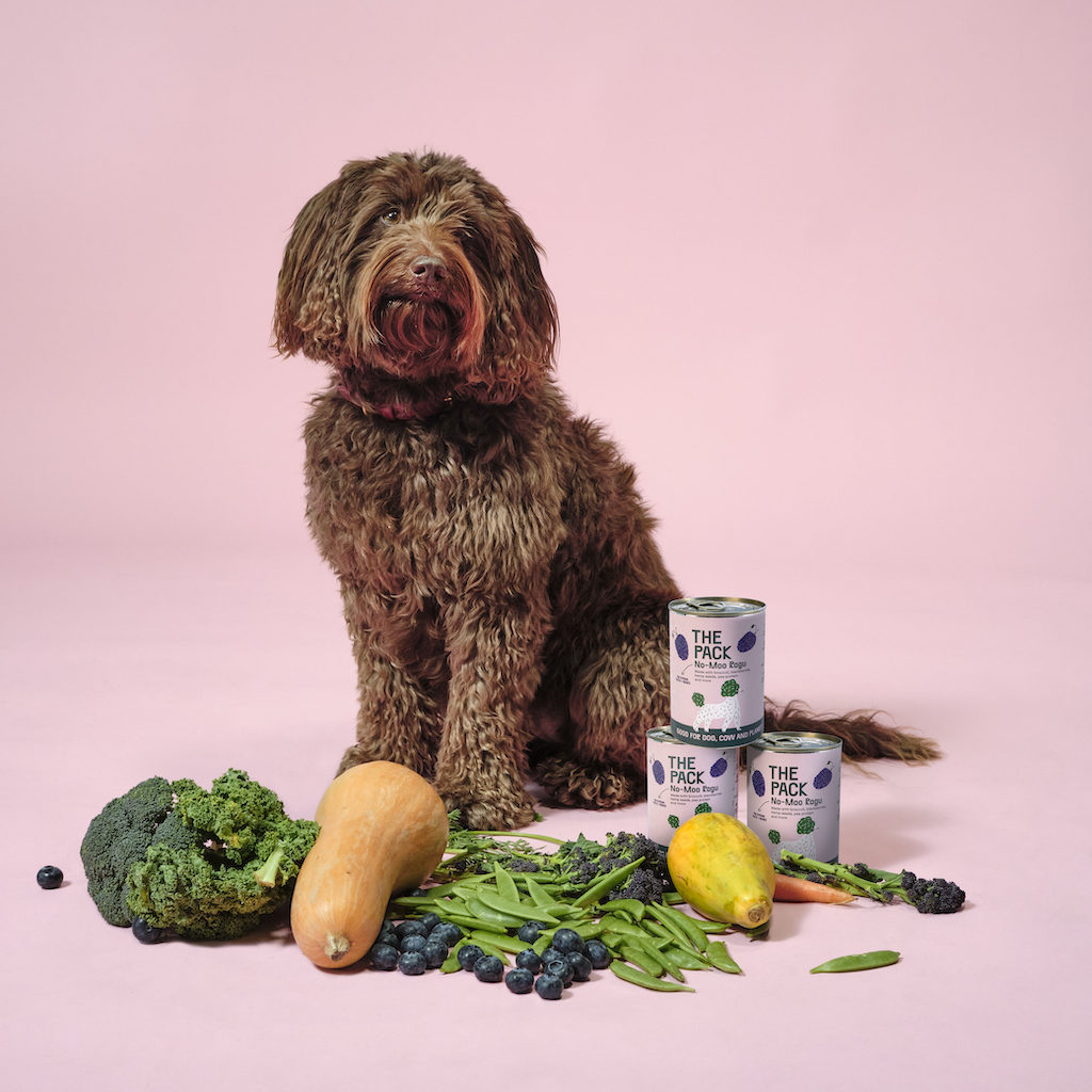 World's First Plant-Based Wet Dog Food Aims to Feed Good Dogs Good Food