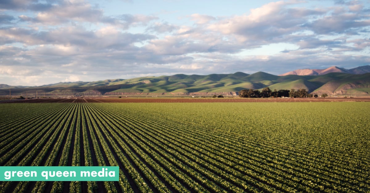 Farmless Raises €1.2M In a Pre-Seed Raise to Cut Out the Protein ‘Middle Man’ — Greenqueen.com.hk