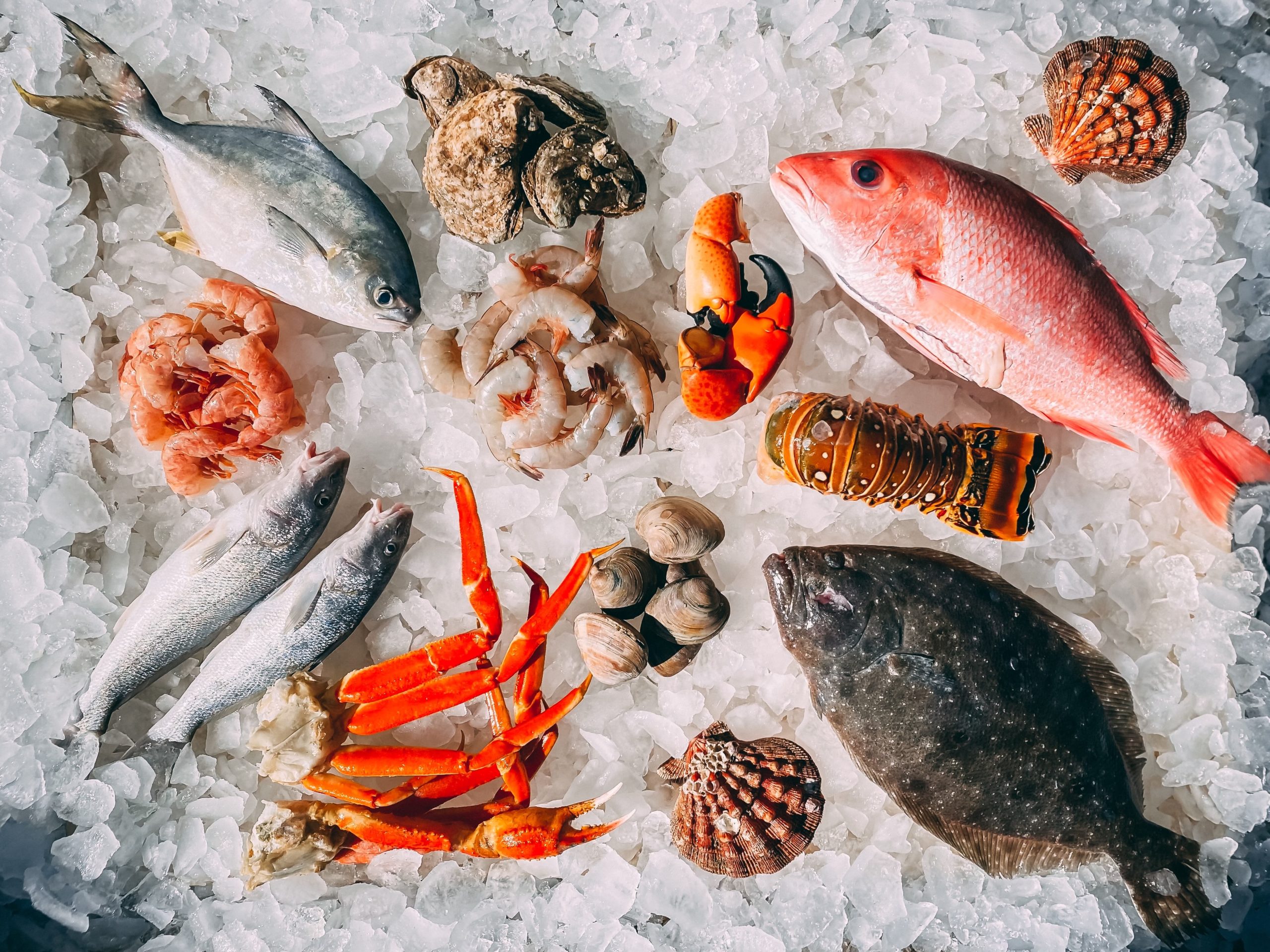 CULT Food Science Partners With Umami Meats To Drive Down Cultivated Seafood  Industry Costs