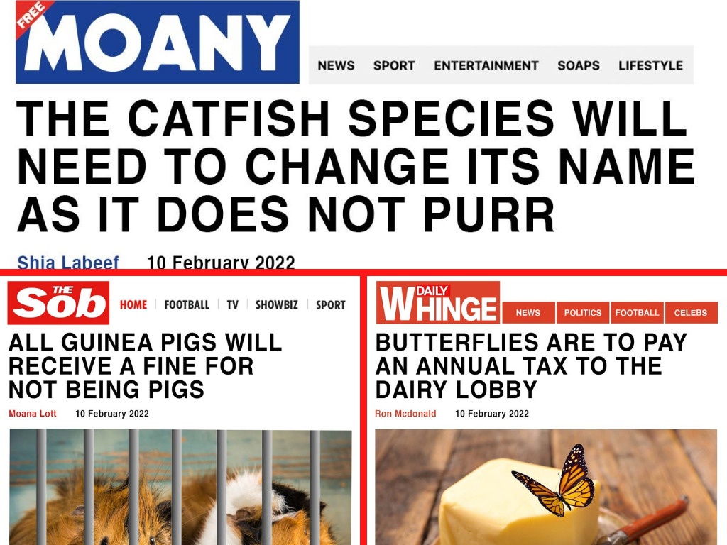 Ulster Farmer Union fake-ifesto