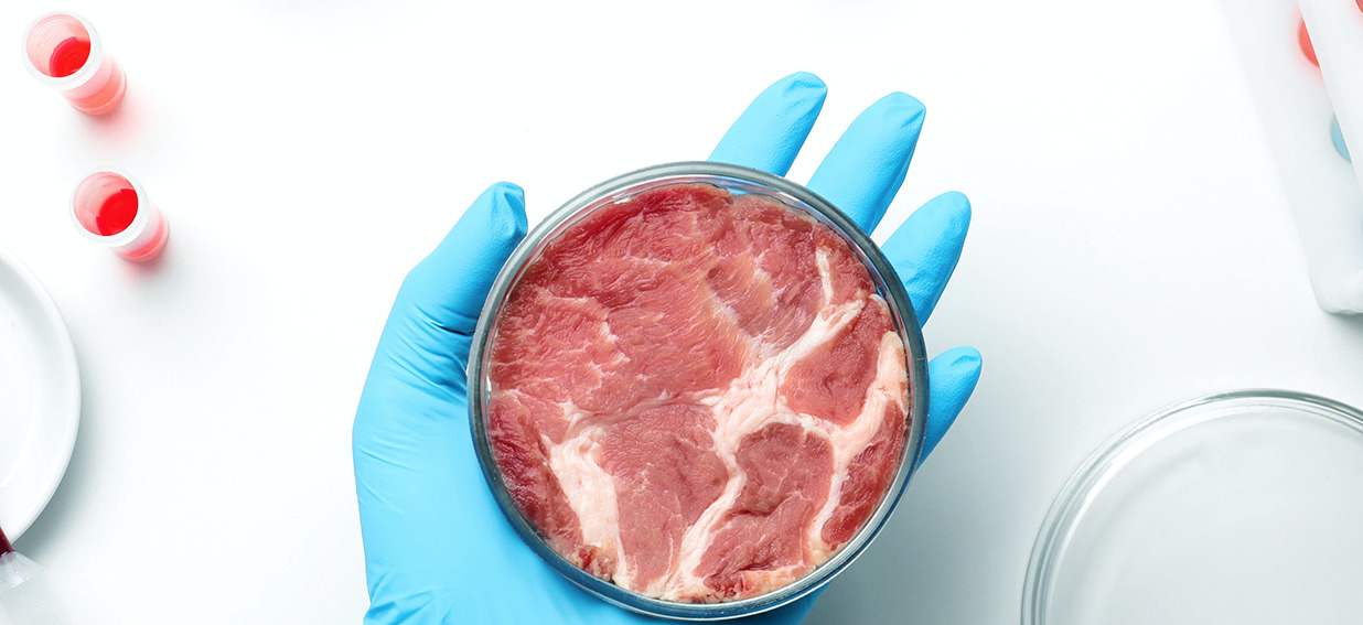 tissen bio farm meat