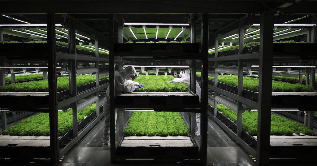 spread vertical farm