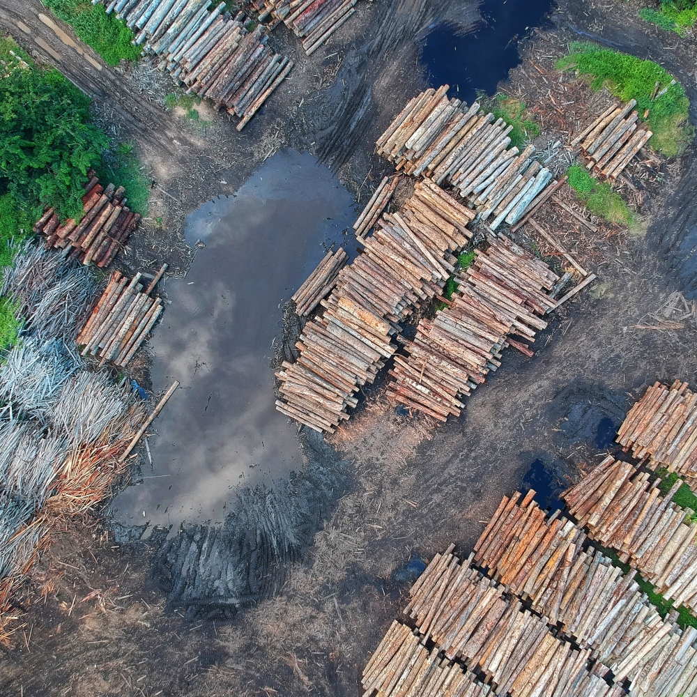 deforestation from above