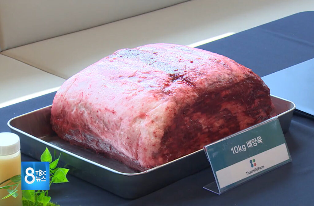 TissenBioFarm's giant piece of cultivated meat