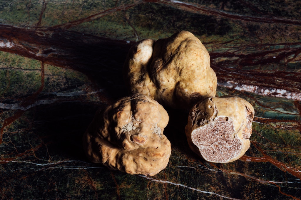 truffle mushroom