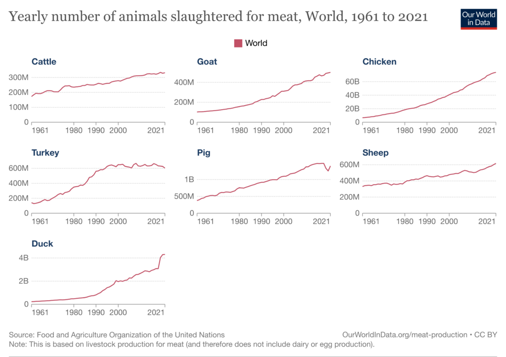 number of animals killed for food